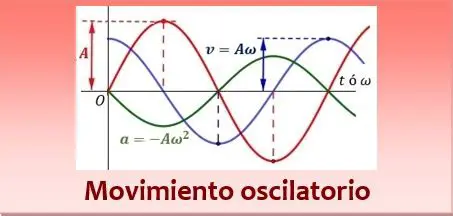 Movimiento circular y oscilatorio