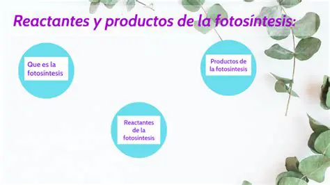 Nombres de los Reactantes y Productos