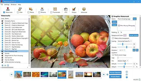 Overview of iWatermark Pro