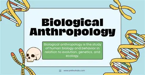 Pay Attention to Biological Factors