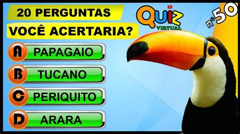 Perguntas e Respostas sobre a Festa Noturna