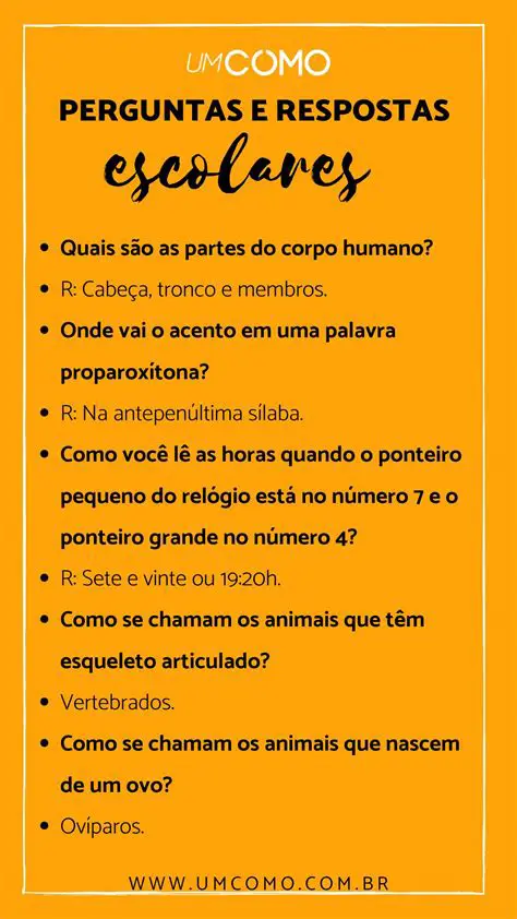 Perguntas e Respostas sobre o ERP