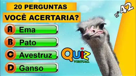 Perguntas e Respostas sobre o Problema de Geometria