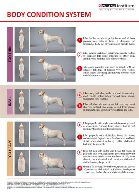 Physical condition of the body