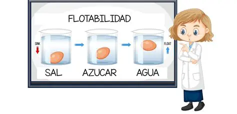 Preguntas y Respuestas sobre la Flotabilidad
