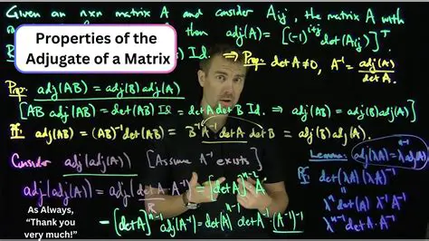 Properties of the Adjugate Matrix