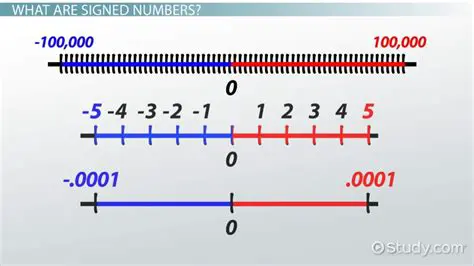 Representing a Loss as a Signed Number