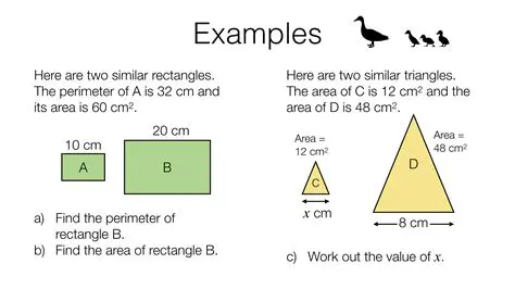 Representing the Rules Mathematically