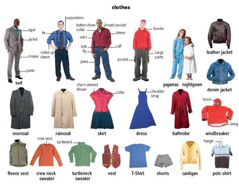 Rich Assortment of Clothes and Accessories
