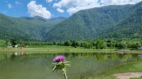کشف زیبایی‌های روستای شفیع آباد: مقصدی بکر برای گردشگران