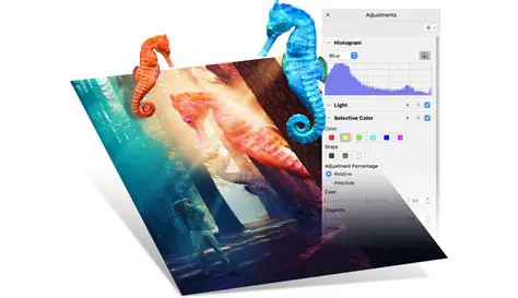 Seamless Integration with Corel Photo Paint