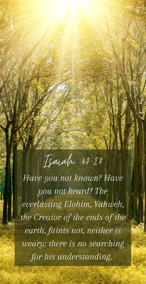 Searching for Bible Verses