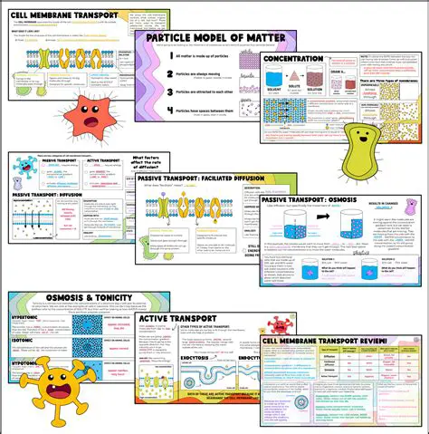 Settings of Transport Notes and SKSH