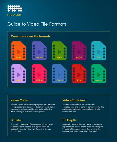 Support for multiple digital media formats