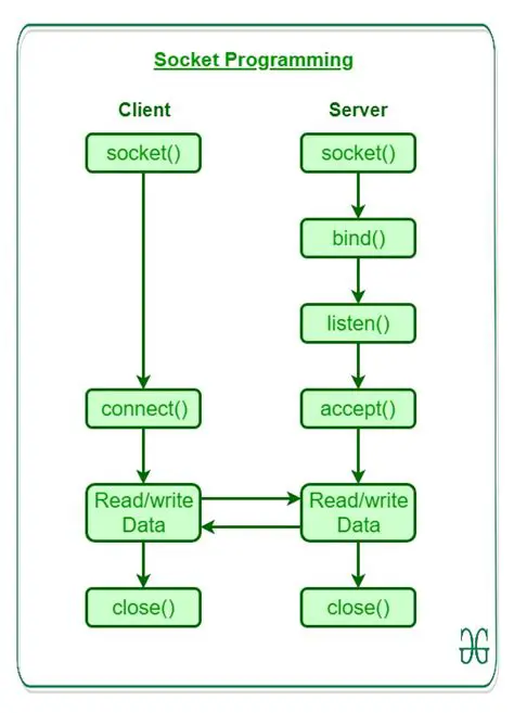 Support for Perl and Java Scripts