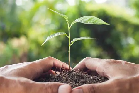 Sustentabilidade ambiental