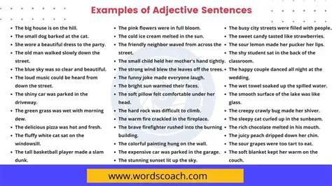The Adjective in the Sentence