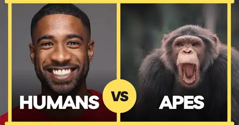 The Comparison of Humans and Yahoos