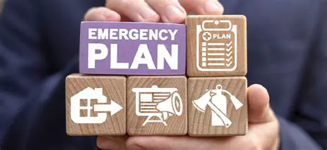 The Concept of Emergency Government