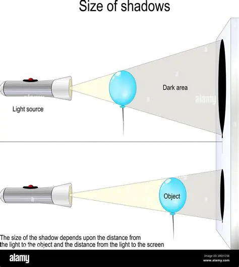 The Effect of Distance on Shadow Value