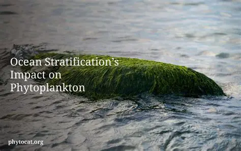 The Impact of Pollution on Phytoplankton