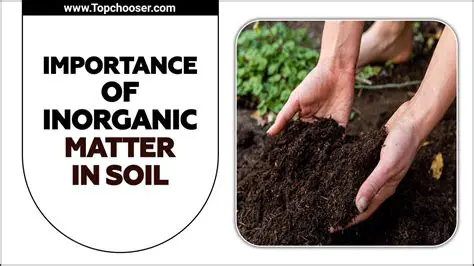 The Importance of Inorganic Precursors