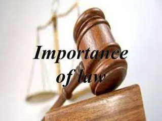 The Importance of Law in Establishing Social Order