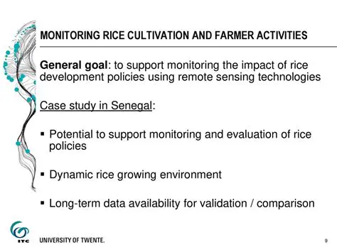 The Importance of Monitoring Rice Availability