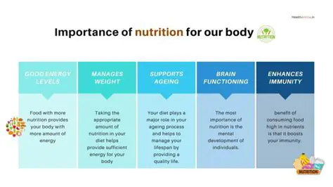 The Importance of Nutrition for the Body
