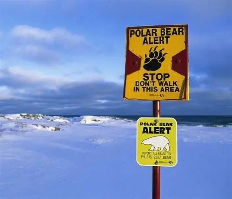 The Importance of Ominous Signs