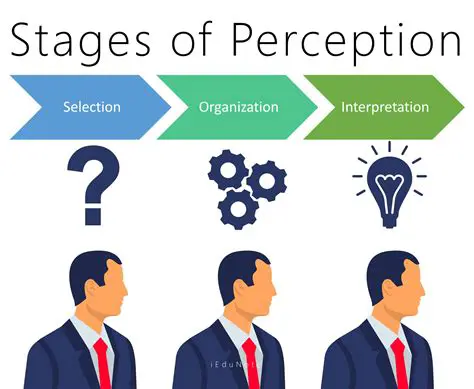 The Importance of Perception in the Decision to Give Birth