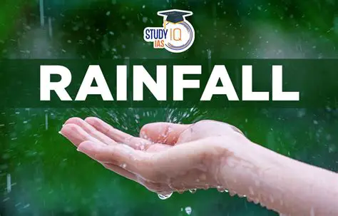 The Importance of Rainfall in Ecosystems