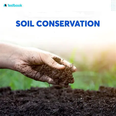 The Importance of Soil Conservation