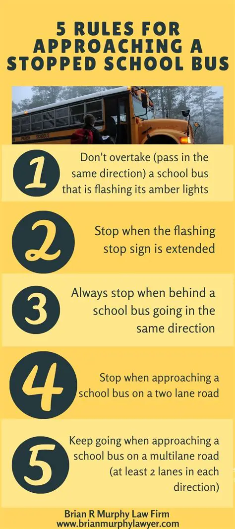 The Importance of Stopped School Bus Laws
