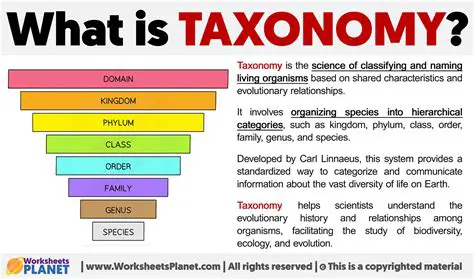 The Importance of Tax Allocation