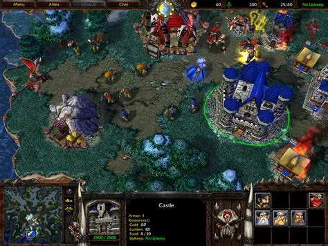 The Importance of the Warcraft III Patch