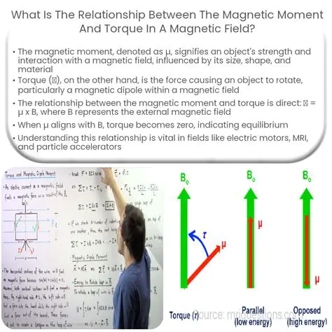 The Magnetic Moment and the Lagrangian