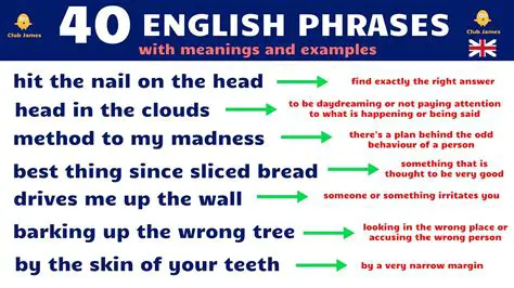 The Meaning Behind the Phrase