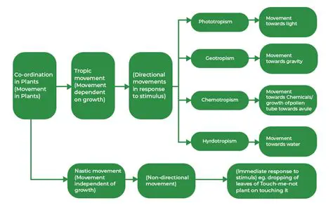 The Need for a Modern System Development
