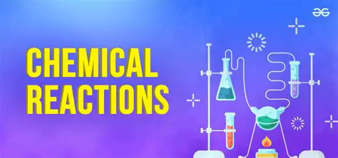 The Overall Chemical Reaction