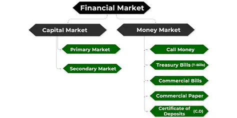 The Problem of Misleading Financial Statements in the Capital Market