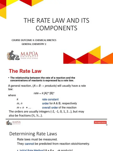 The Rate Law and Its Components