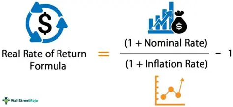The Real Rate of Return and Real Debt Burden