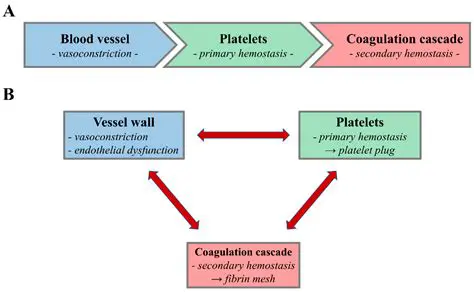 The Role of Factors and Consequences