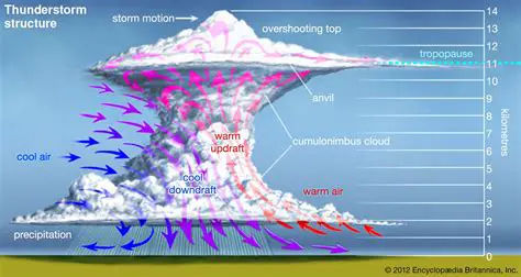 The Role of Updrafts and Downdrafts