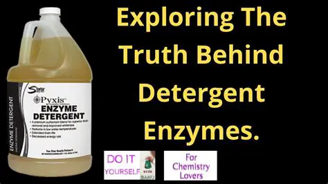 The Science Behind Detergent Action