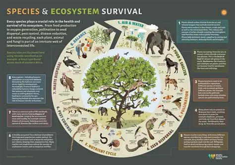 The Transfer of Plants and Animals