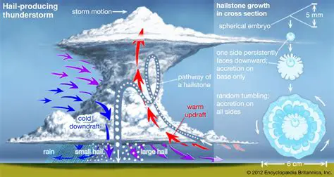The Two Essential Factors for Thunderstorm Formation