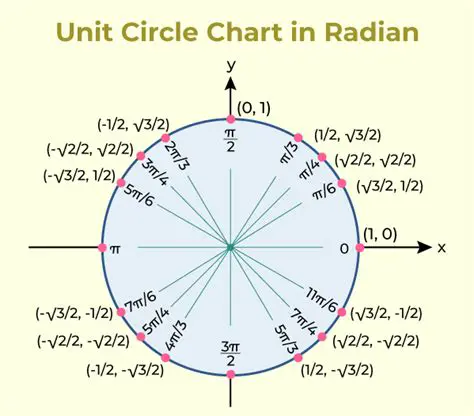 The Unit Circle and Terminal Rays