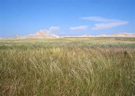 The Unpredictable Weather of the Great Plains